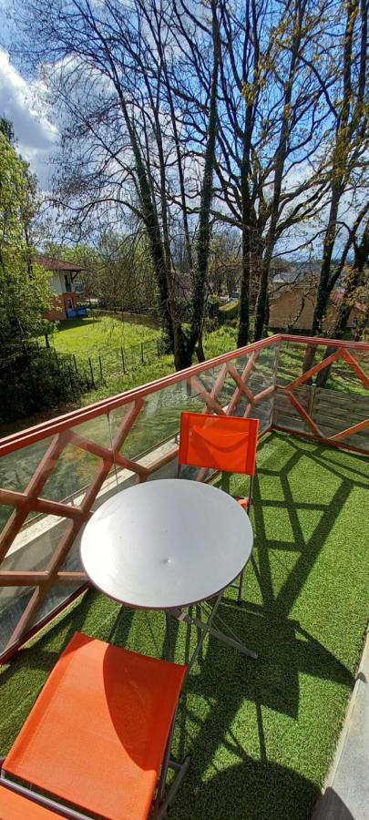 Le Petit Park-Studio-Terrasse- Piscine-Wifi Fibre Apartment Pau Exterior foto