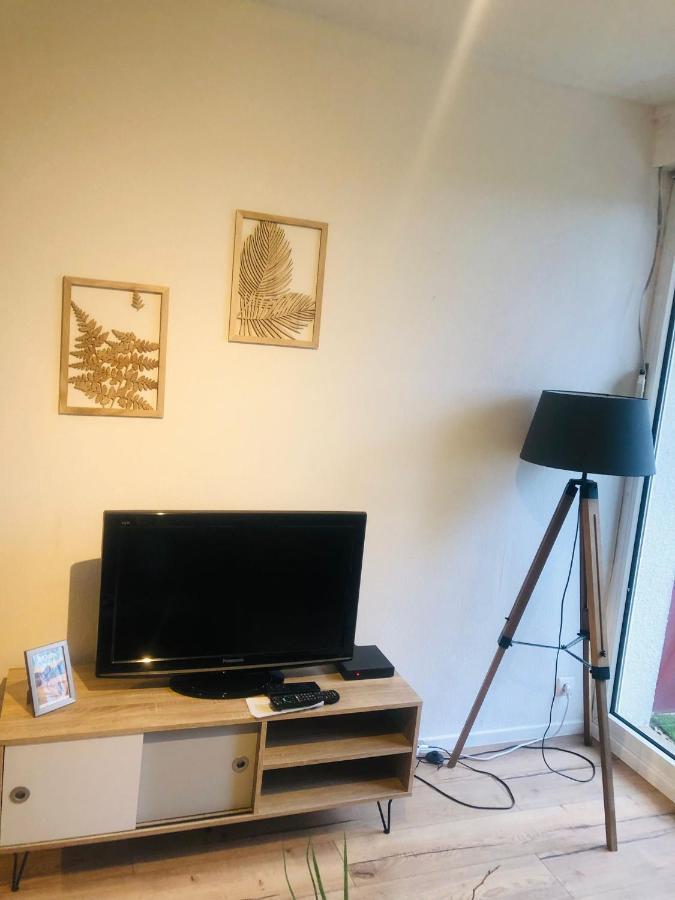 Le Petit Park-Studio-Terrasse- Piscine-Wifi Fibre Apartment Pau Exterior foto